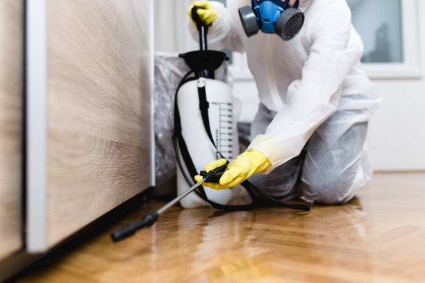 Best Bed Bug Extermination  in Spring Valley, NY