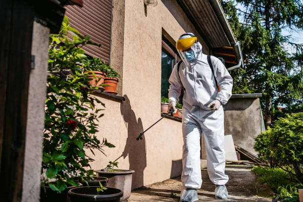 Best Bird Control  in Spring Valley, NY