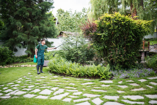 Best Pest Prevention Services  in Spring Valley, NY