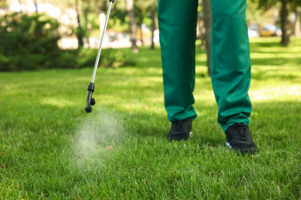Best Commercial Pest Control Services  in Spring Valley, NY