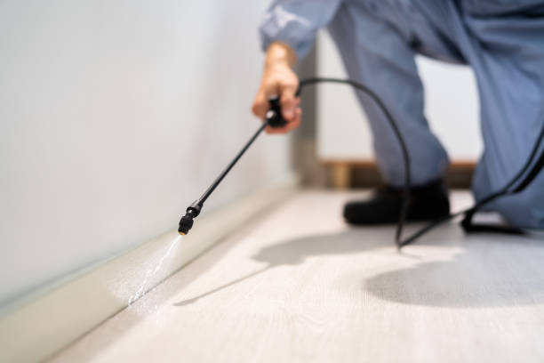 Best Pest Prevention Services  in Spring Valley, NY