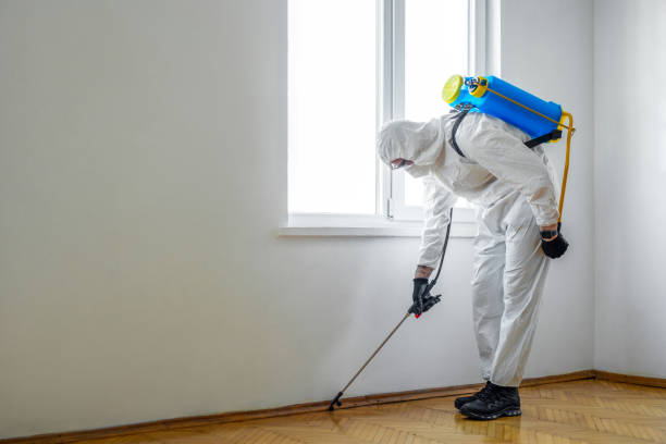 Best Rat Extermination Near Me  in Spring Valley, NY
