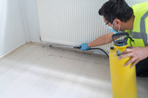 Reliable Spring Valley, NY Pest Control Solutions